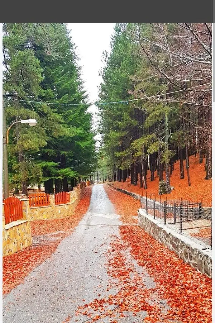 The Little Oasis Villa Shkoder 0*,